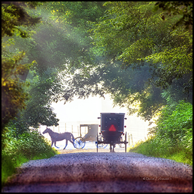 Amish Buggies at the Crossroads